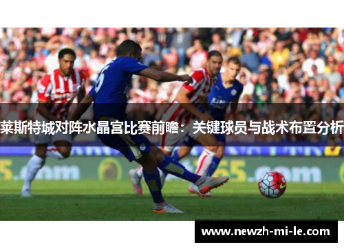 莱斯特城对阵水晶宫比赛前瞻：关键球员与战术布置分析