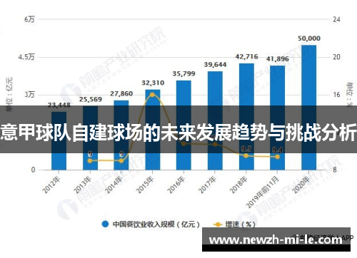 意甲球队自建球场的未来发展趋势与挑战分析