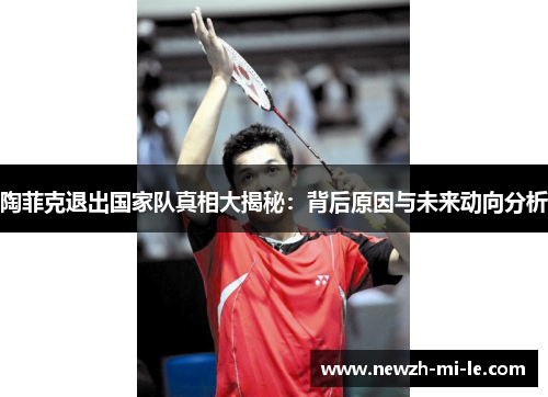 陶菲克退出国家队真相大揭秘：背后原因与未来动向分析