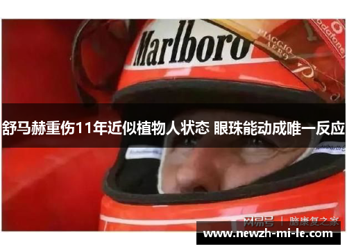 舒马赫重伤11年近似植物人状态 眼珠能动成唯一反应