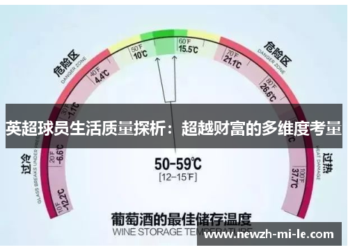 英超球员生活质量探析：超越财富的多维度考量